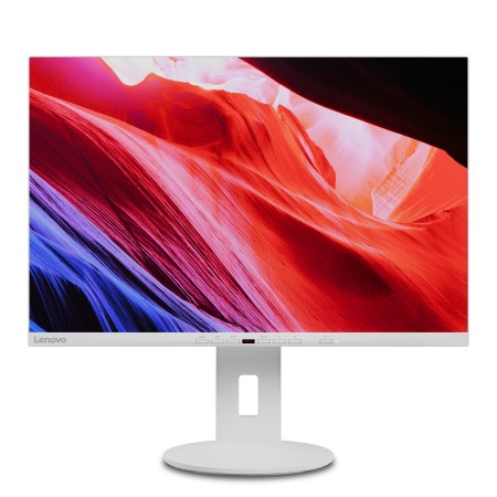 Lenovo C24d-20 LED (24") 1920 x 1200 px Full HD Szary, Biały